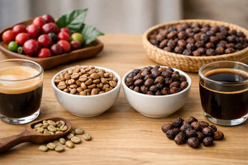 Washed Versus Natural Coffee Flavor Guide