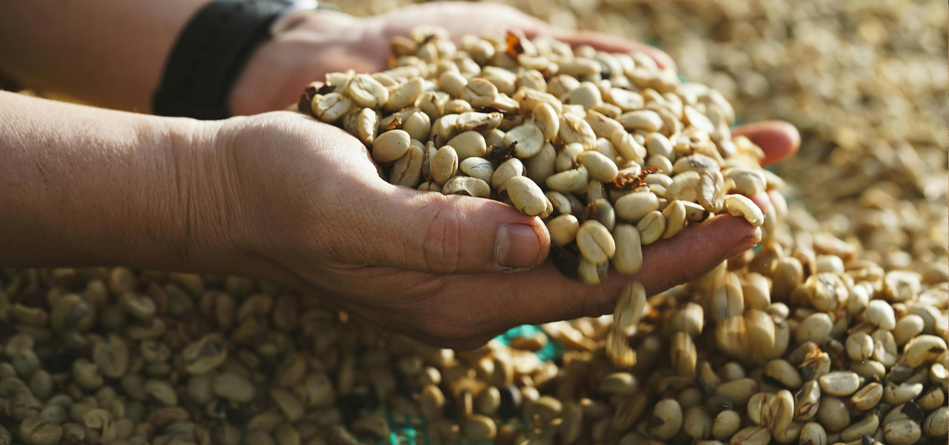 slider image slider_item_XcTtgb